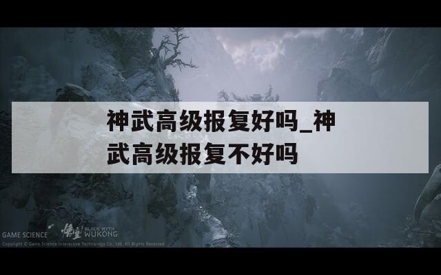 神武高级报复好吗_神武高级报复不好吗