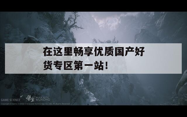 在这里畅享优质国产好货专区第一站！