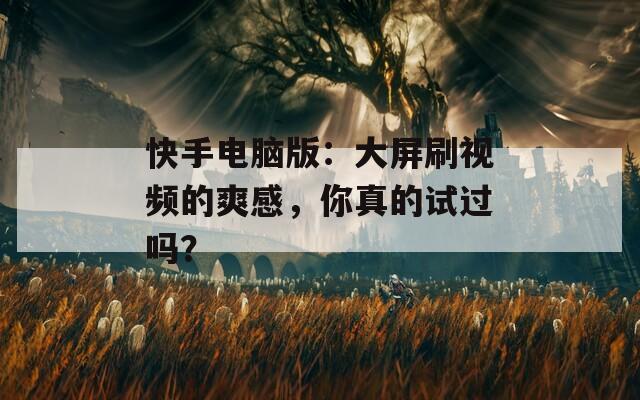 快手电脑版：大屏刷视频的爽感，你真的试过吗？