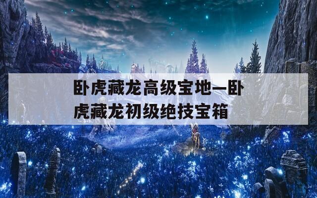 卧虎藏龙高级宝地—卧虎藏龙初级绝技宝箱