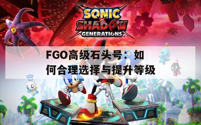 FGO高级石头号：如何合理选择与提升等级