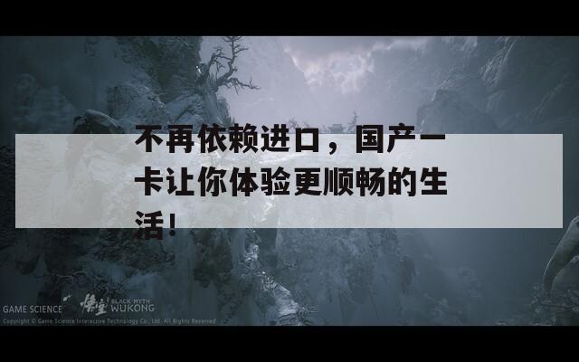 不再依赖进口，国产一卡让你体验更顺畅的生活！