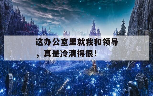 这办公室里就我和领导，真是冷清得很！