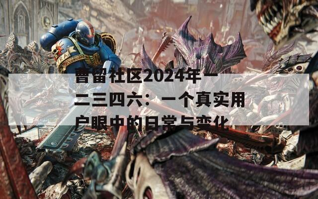曹留社区2024年一二三四六：一个真实用户眼中的日常与变化