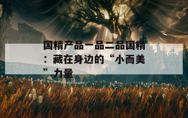 国精产品一品二品国精：藏在身边的“小而美”力量