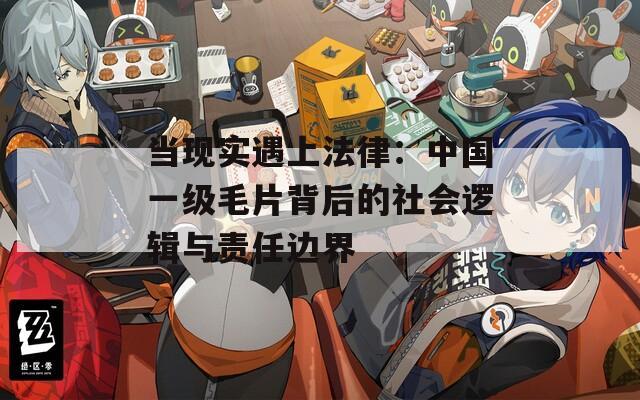 当现实遇上法律：中国一级毛片背后的社会逻辑与责任边界