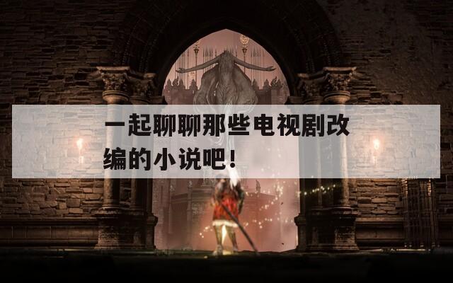 一起聊聊那些电视剧改编的小说吧！