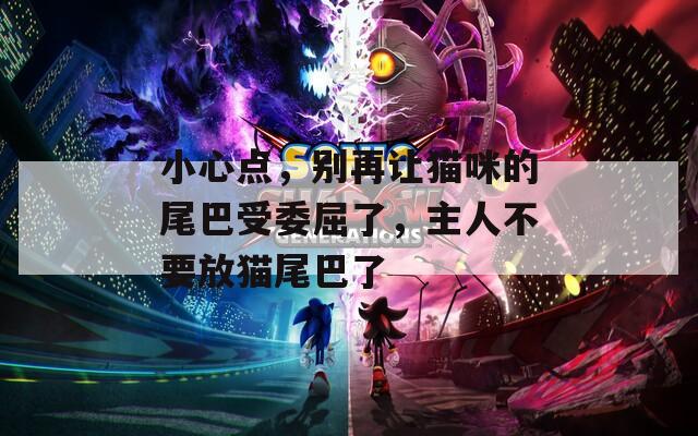 小心点，别再让猫咪的尾巴受委屈了，主人不要放猫尾巴了