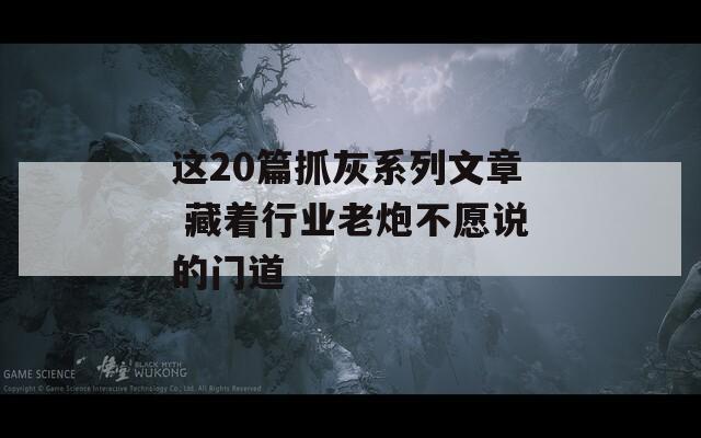 这20篇抓灰系列文章 藏着行业老炮不愿说的门道