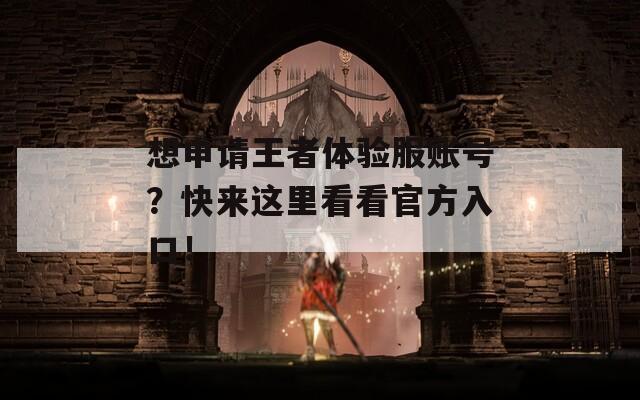 想申请王者体验服账号？快来这里看看官方入口！