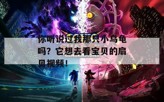 你听说过我那只小乌龟吗？它想去看宝贝的扇贝视频！