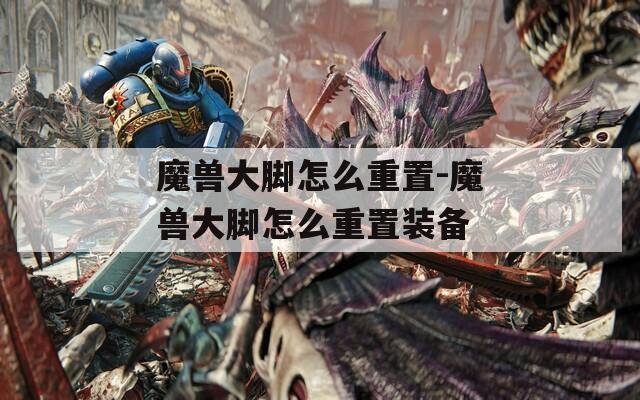 魔兽大脚怎么重置-魔兽大脚怎么重置装备