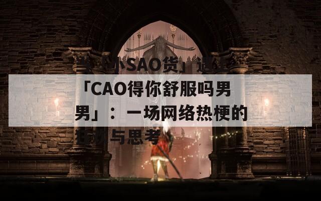 当「小SAO货」遇上「CAO得你舒服吗男男」：一场网络热梗的狂欢与思考