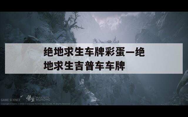 绝地求生车牌彩蛋—绝地求生吉普车车牌