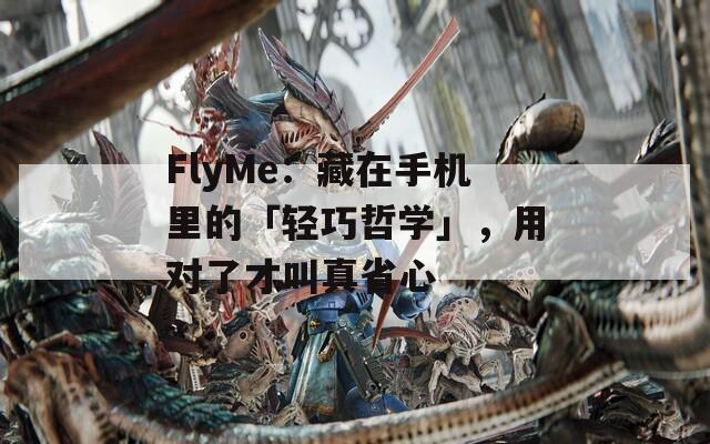 FlyMe：藏在手机里的「轻巧哲学」，用对了才叫真省心