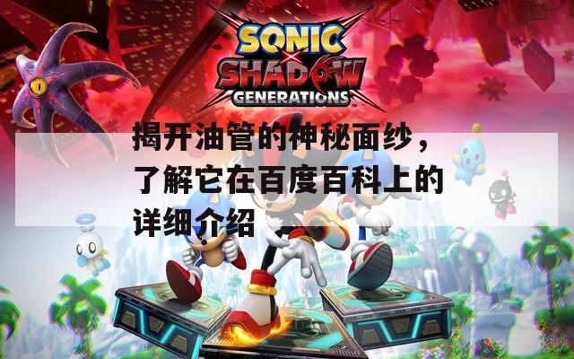揭开油管的神秘面纱，了解它在百度百科上的详细介绍