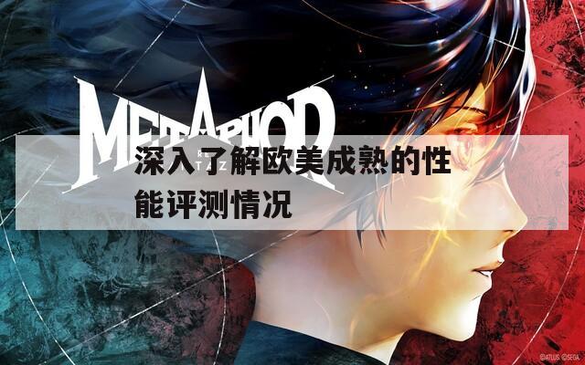 深入了解欧美成熟的性能评测情况