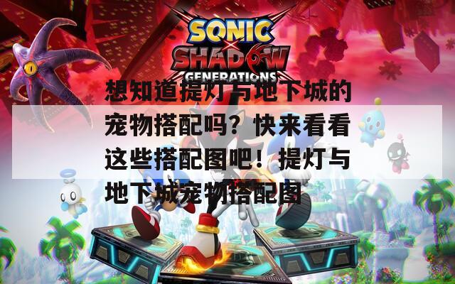 想知道提灯与地下城的宠物搭配吗？快来看看这些搭配图吧！提灯与地下城宠物搭配图
