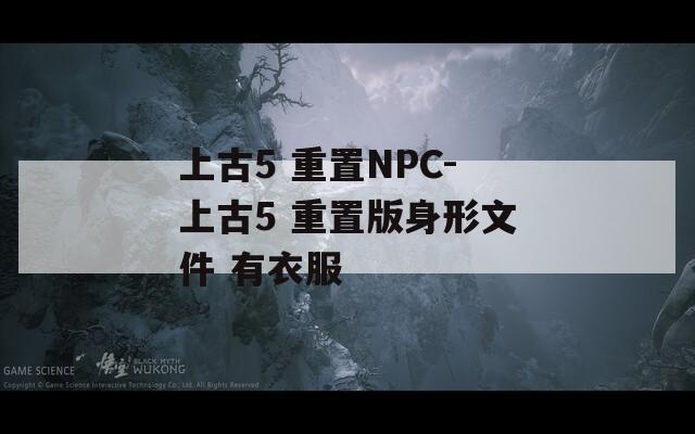 上古5 重置NPC-上古5 重置版身形文件 有衣服