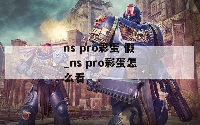 ns pro彩蛋 假_ns pro彩蛋怎么看