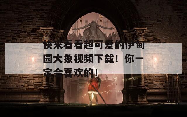快来看看超可爱的伊甸园大象视频下载！你一定会喜欢的！