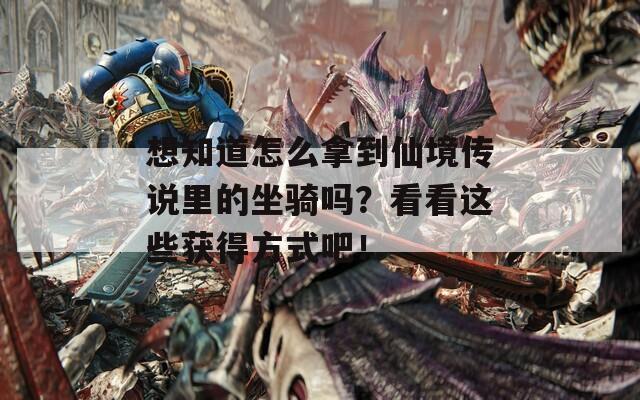 想知道怎么拿到仙境传说里的坐骑吗？看看这些获得方式吧！