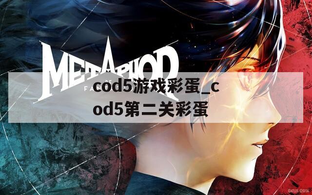 cod5游戏彩蛋_cod5第二关彩蛋