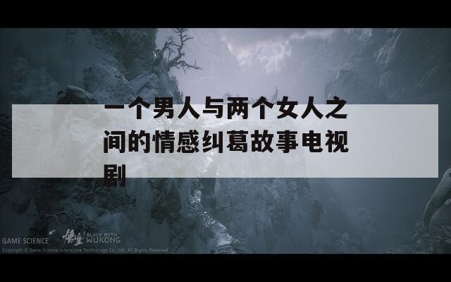 一个男人与两个女人之间的情感纠葛故事电视剧
