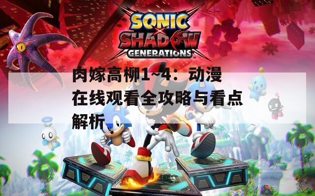肉嫁高柳1～4：动漫在线观看全攻略与看点解析