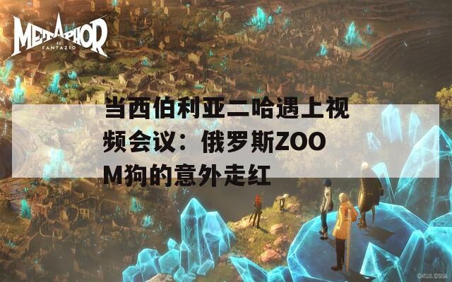 当西伯利亚二哈遇上视频会议：俄罗斯ZOOM狗的意外走红
