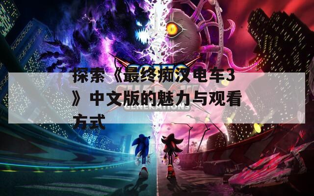 探索《最终痴汉电车3》中文版的魅力与观看方式