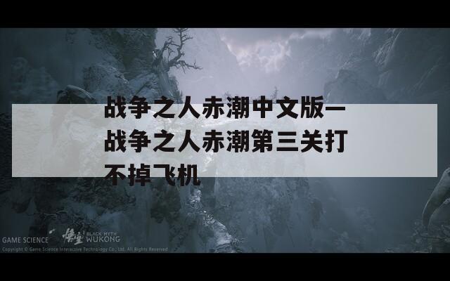 战争之人赤潮中文版—战争之人赤潮第三关打不掉飞机