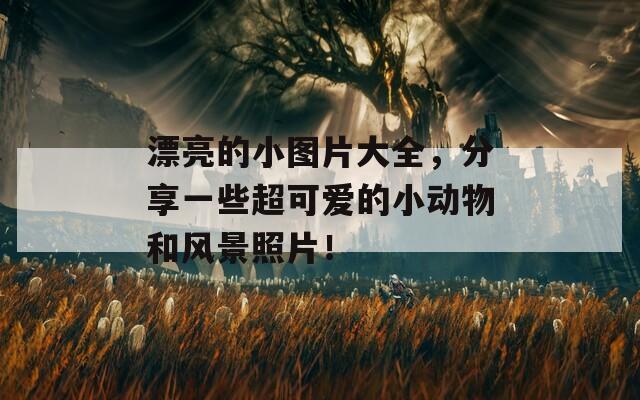 漂亮的小图片大全，分享一些超可爱的小动物和风景照片！