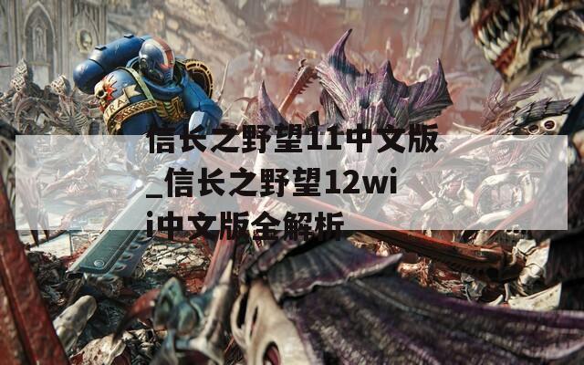 信长之野望11中文版_信长之野望12wii中文版全解析