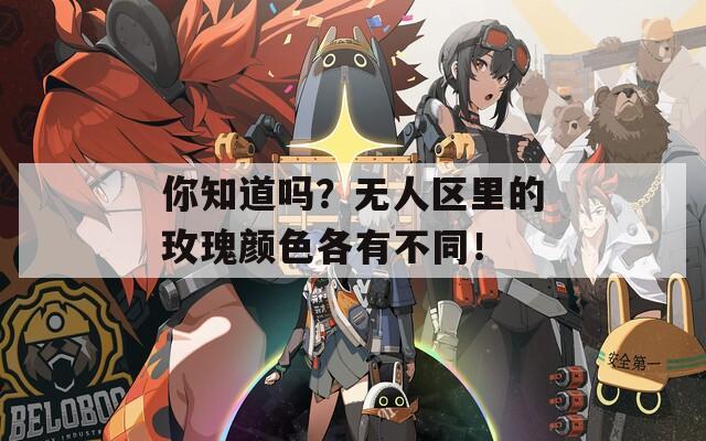你知道吗？无人区里的玫瑰颜色各有不同！