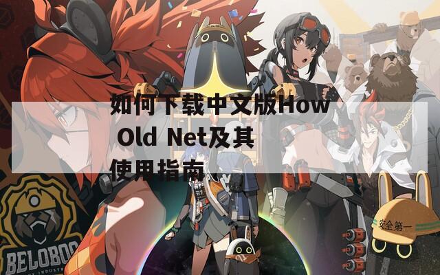 如何下载中文版How Old Net及其使用指南