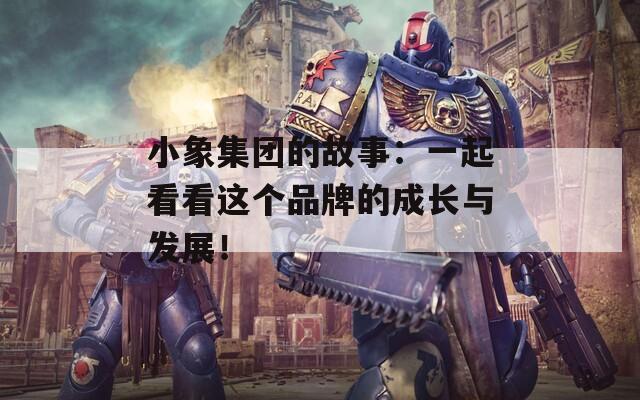 小象集团的故事：一起看看这个品牌的成长与发展！