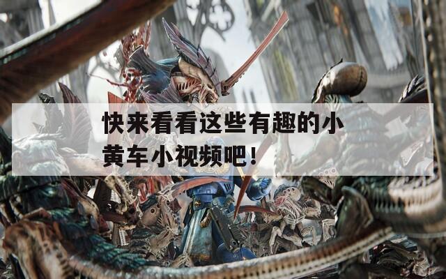 快来看看这些有趣的小黄车小视频吧！