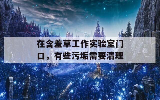 在含羞草工作实验室门口，有些污垢需要清理