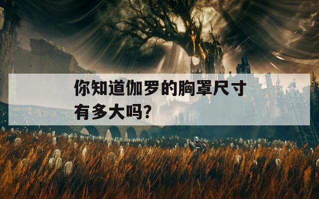 你知道伽罗的胸罩尺寸有多大吗？
