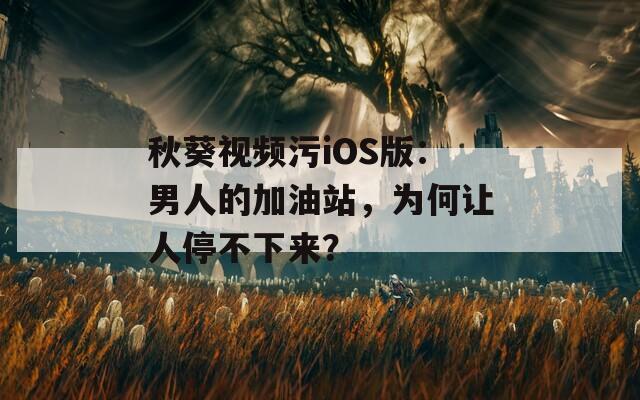 秋葵视频污iOS版：男人的加油站，为何让人停不下来？