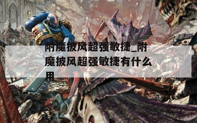 附魔披风超强敏捷_附魔披风超强敏捷有什么用