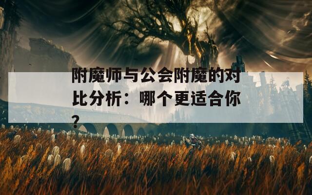 附魔师与公会附魔的对比分析：哪个更适合你？