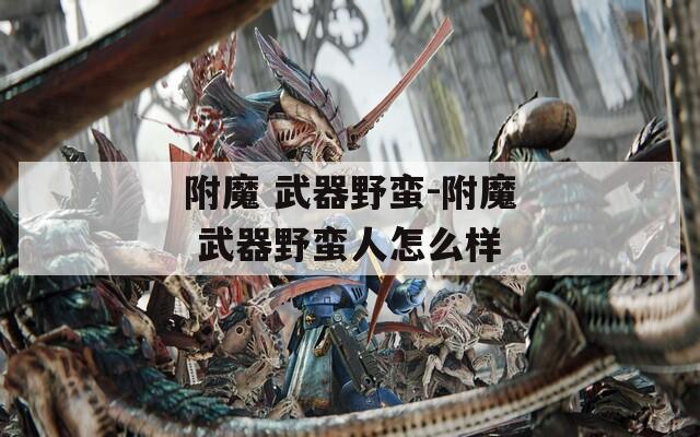 附魔 武器野蛮-附魔 武器野蛮人怎么样