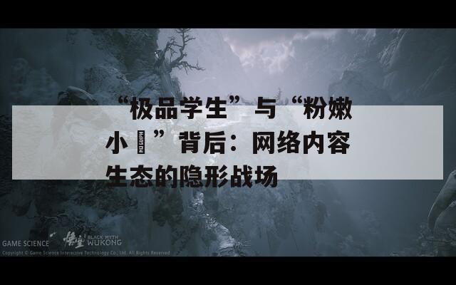 “极品学生”与“粉嫩小泬”背后：网络内容生态的隐形战场