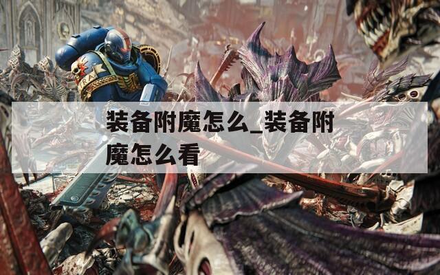装备附魔怎么_装备附魔怎么看