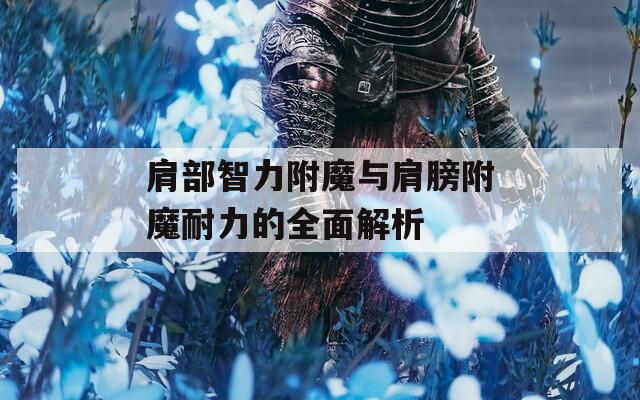 肩部智力附魔与肩膀附魔耐力的全面解析