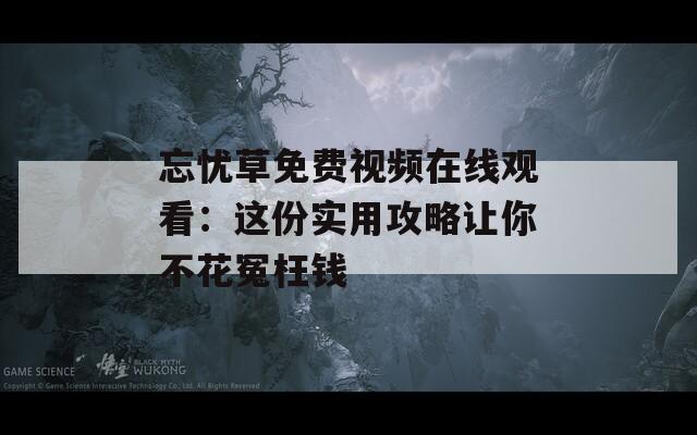 忘忧草免费视频在线观看：这份实用攻略让你不花冤枉钱