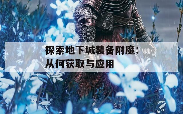 探索地下城装备附魔：从何获取与应用