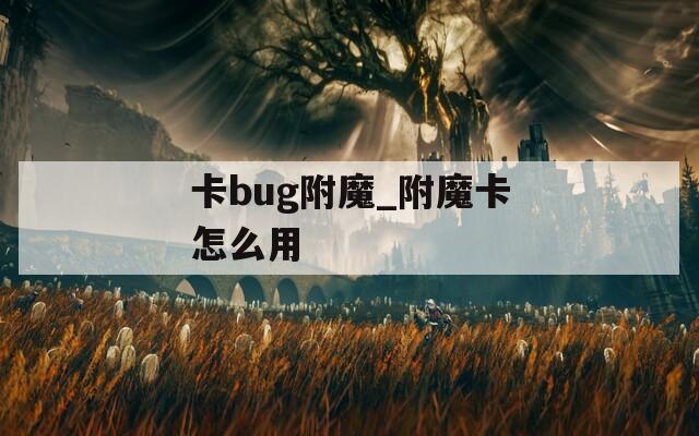 卡bug附魔_附魔卡怎么用